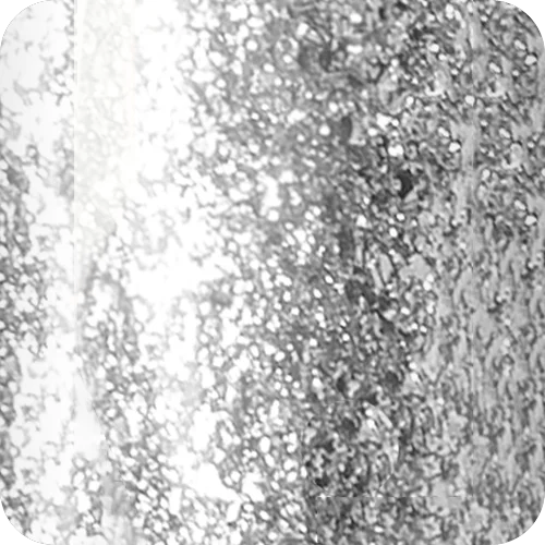 SOLARGEL INFLUENCE SPICES 