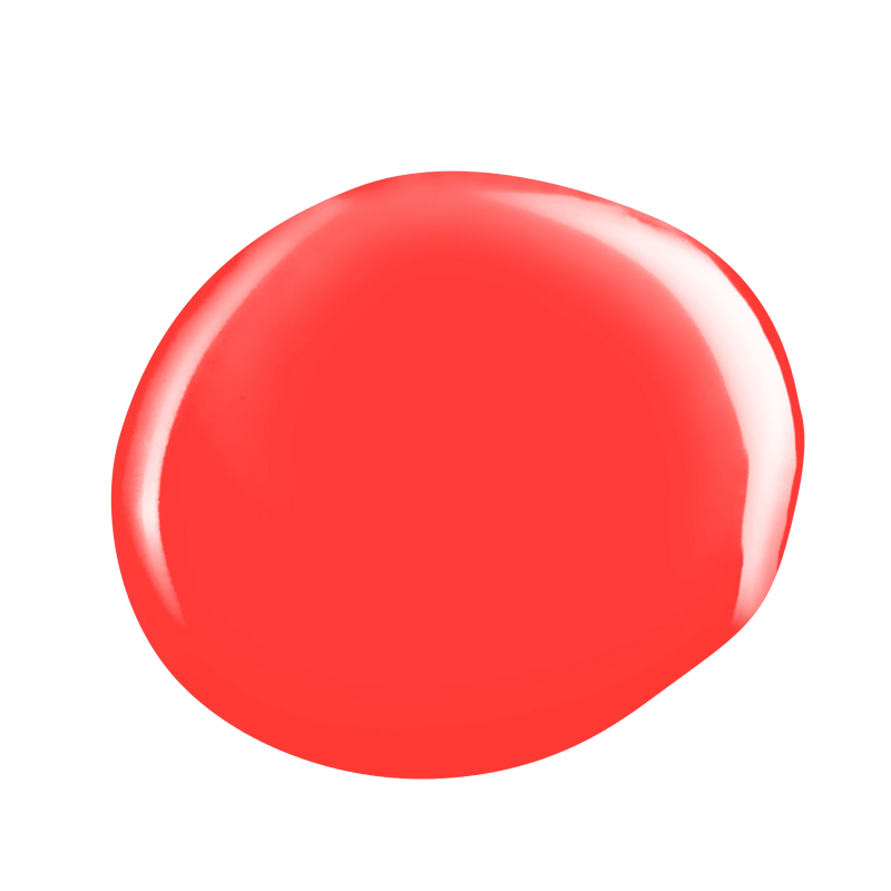 SHIELD FORTUNE 