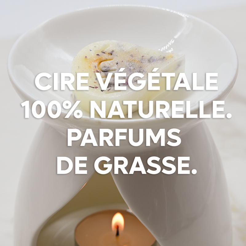 Pack de 1 coffret de 16 fondants parfumés + 1 brûle parfum céramique