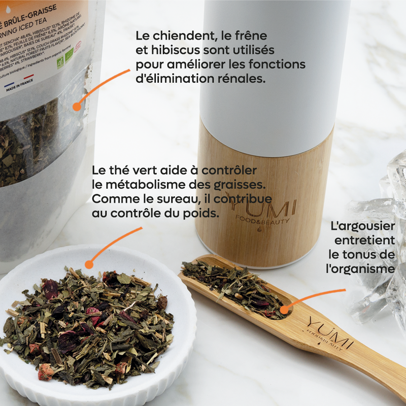 Thé glacé BIO brûle-graisse - 60G