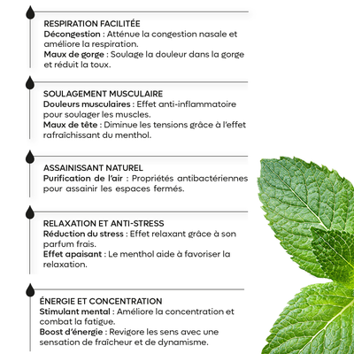 Cristaux de menthe - 50g