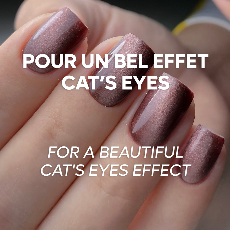Outil magnet Cat&
