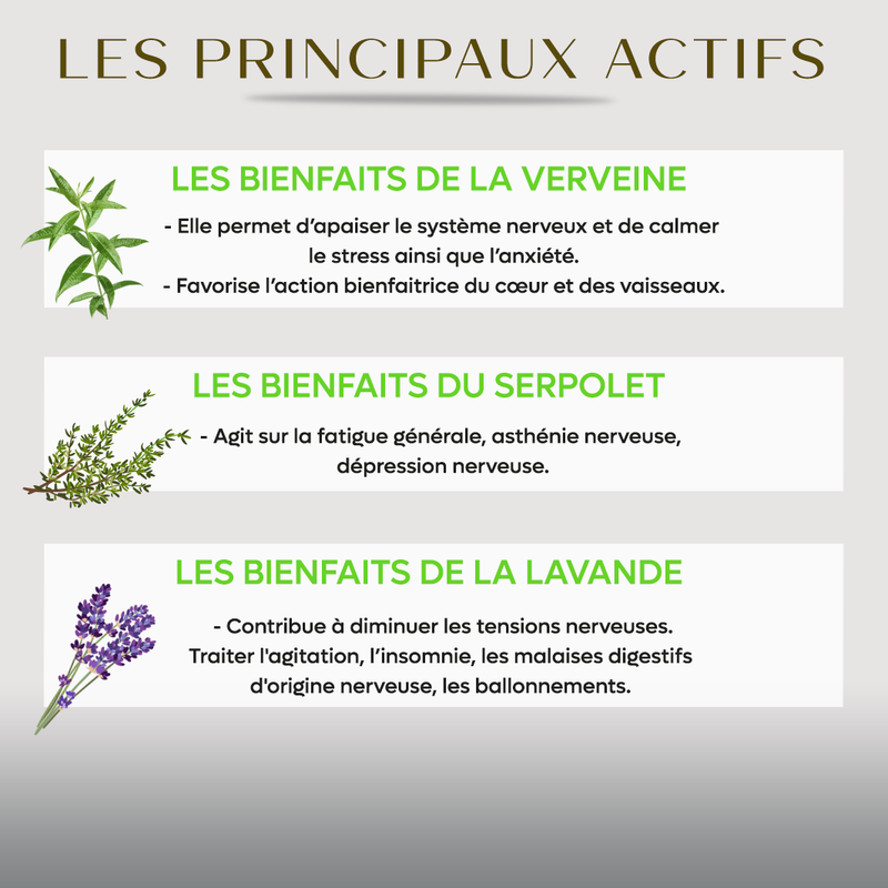 Infusion BIO Sommeil - 60G